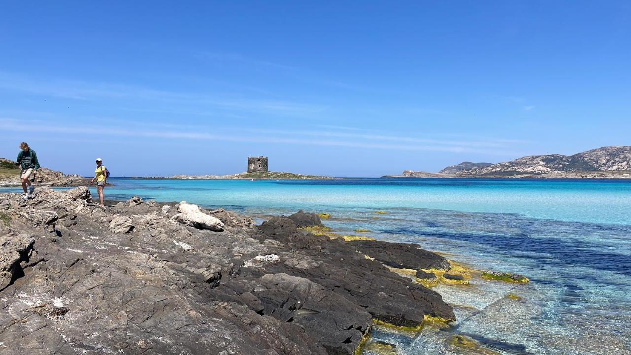Vila I Pescatori Di Stelle-L12 Altair Stintino Exteriér fotografie