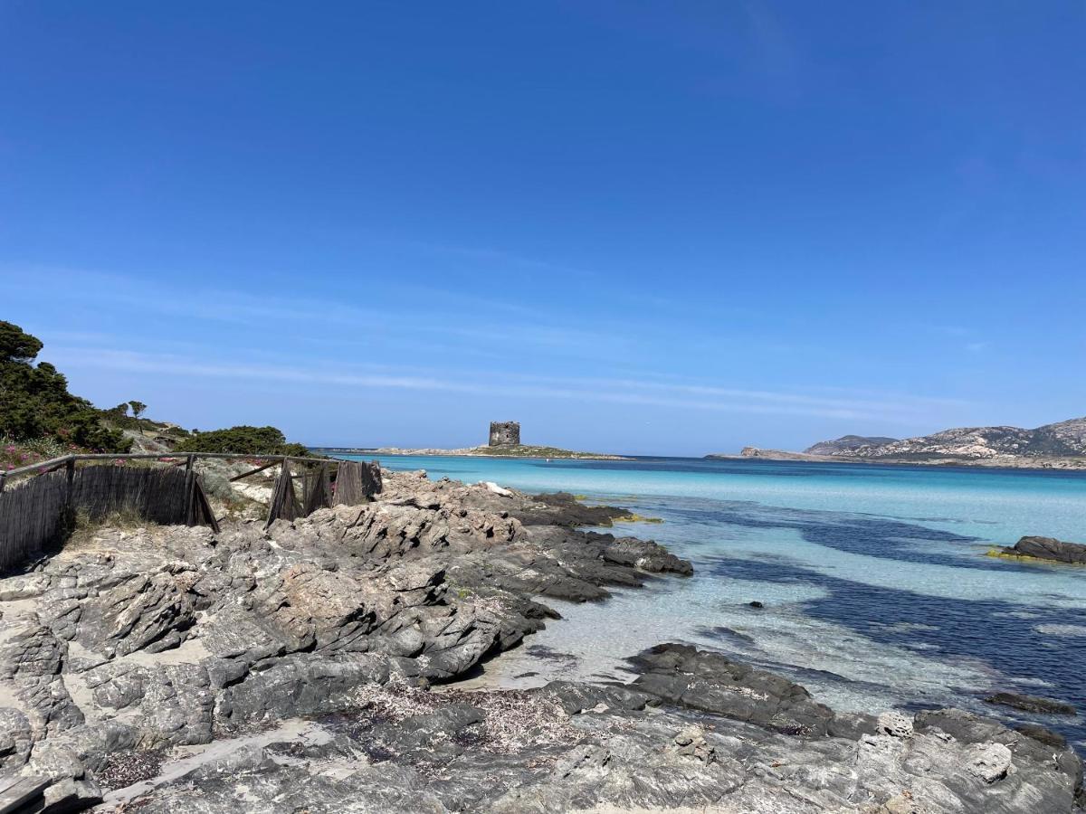 Vila I Pescatori Di Stelle-L12 Altair Stintino Exteriér fotografie