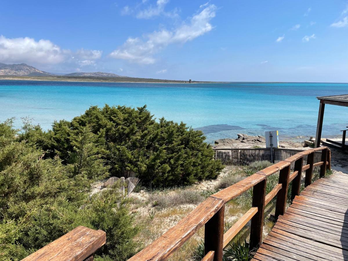 Vila I Pescatori Di Stelle-L12 Altair Stintino Exteriér fotografie