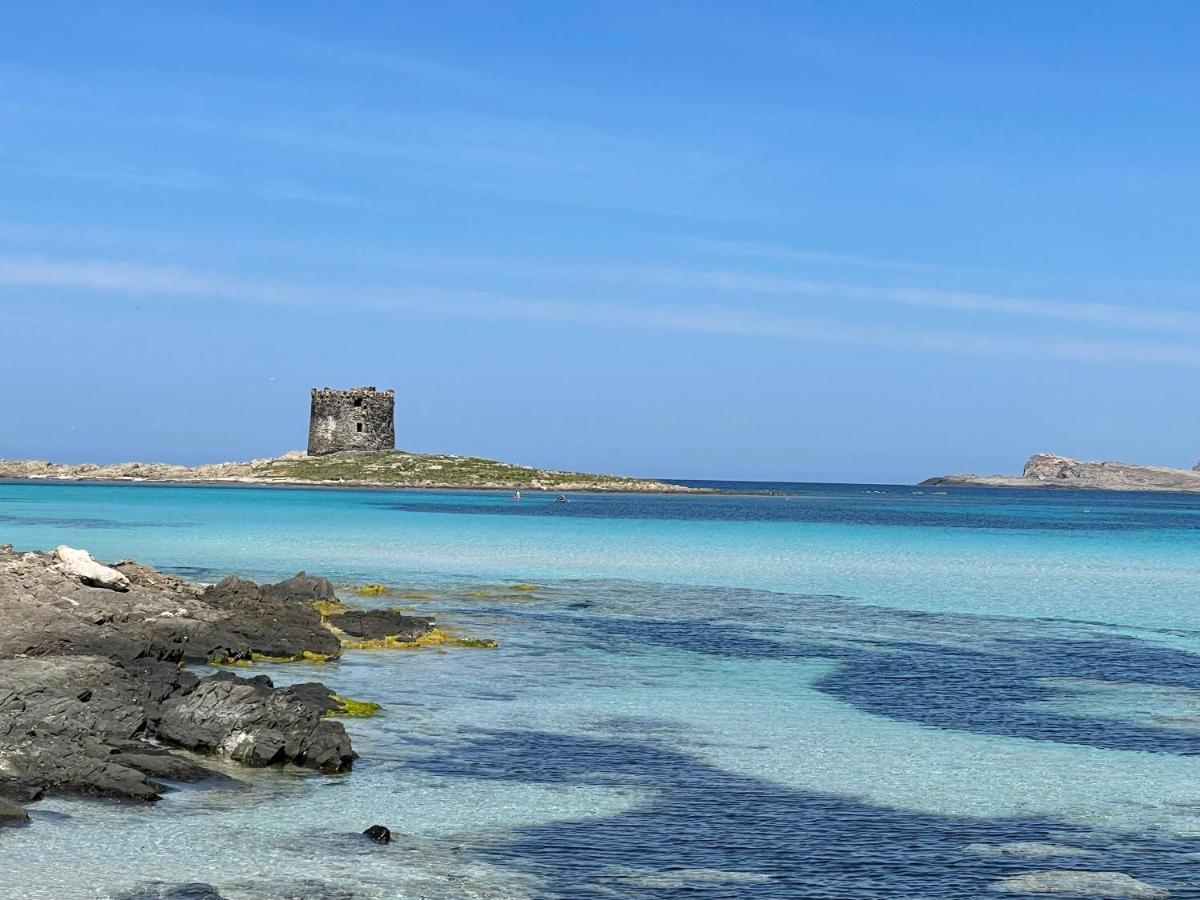 Vila I Pescatori Di Stelle-L12 Altair Stintino Exteriér fotografie