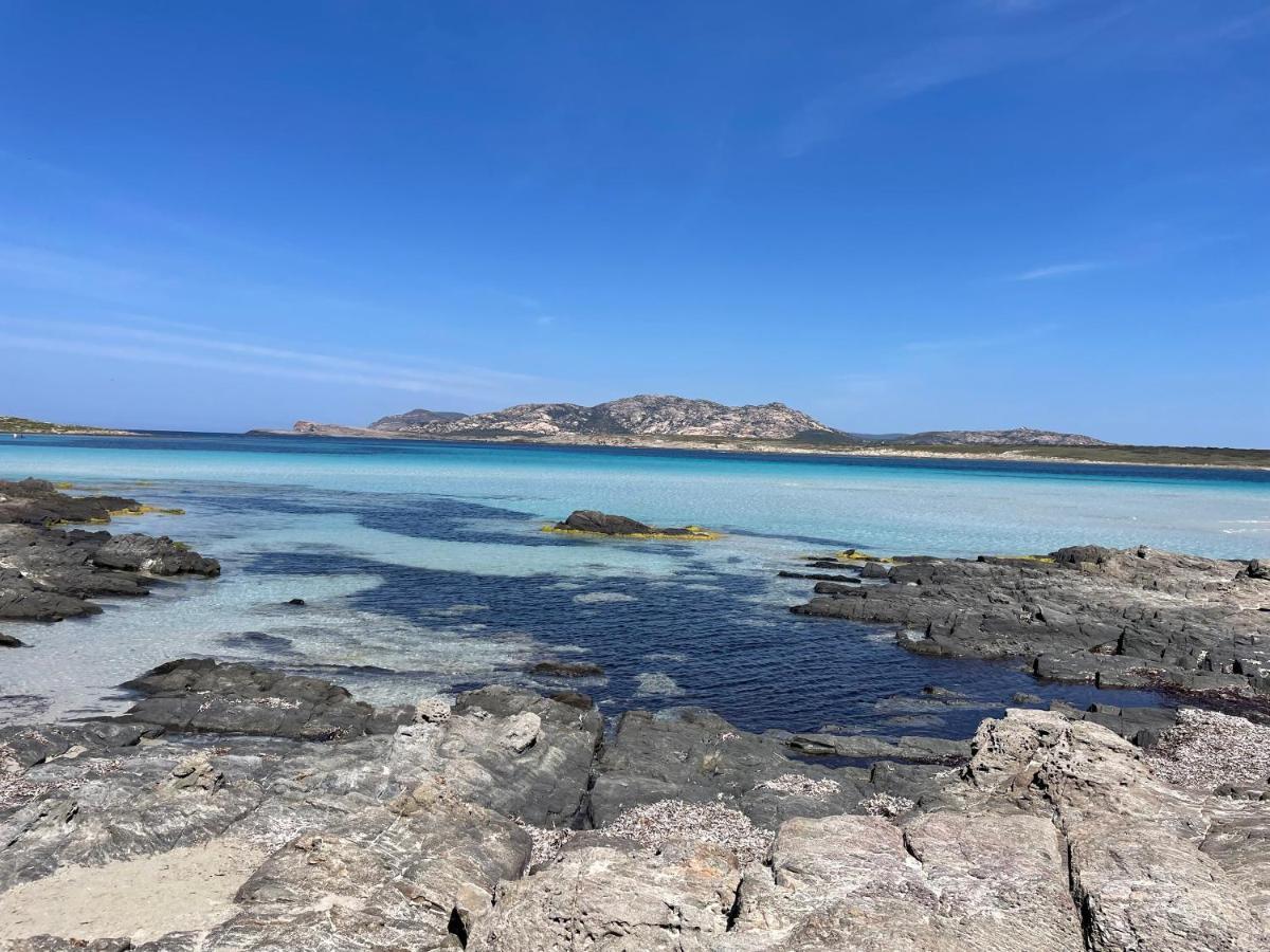 Vila I Pescatori Di Stelle-L12 Altair Stintino Exteriér fotografie