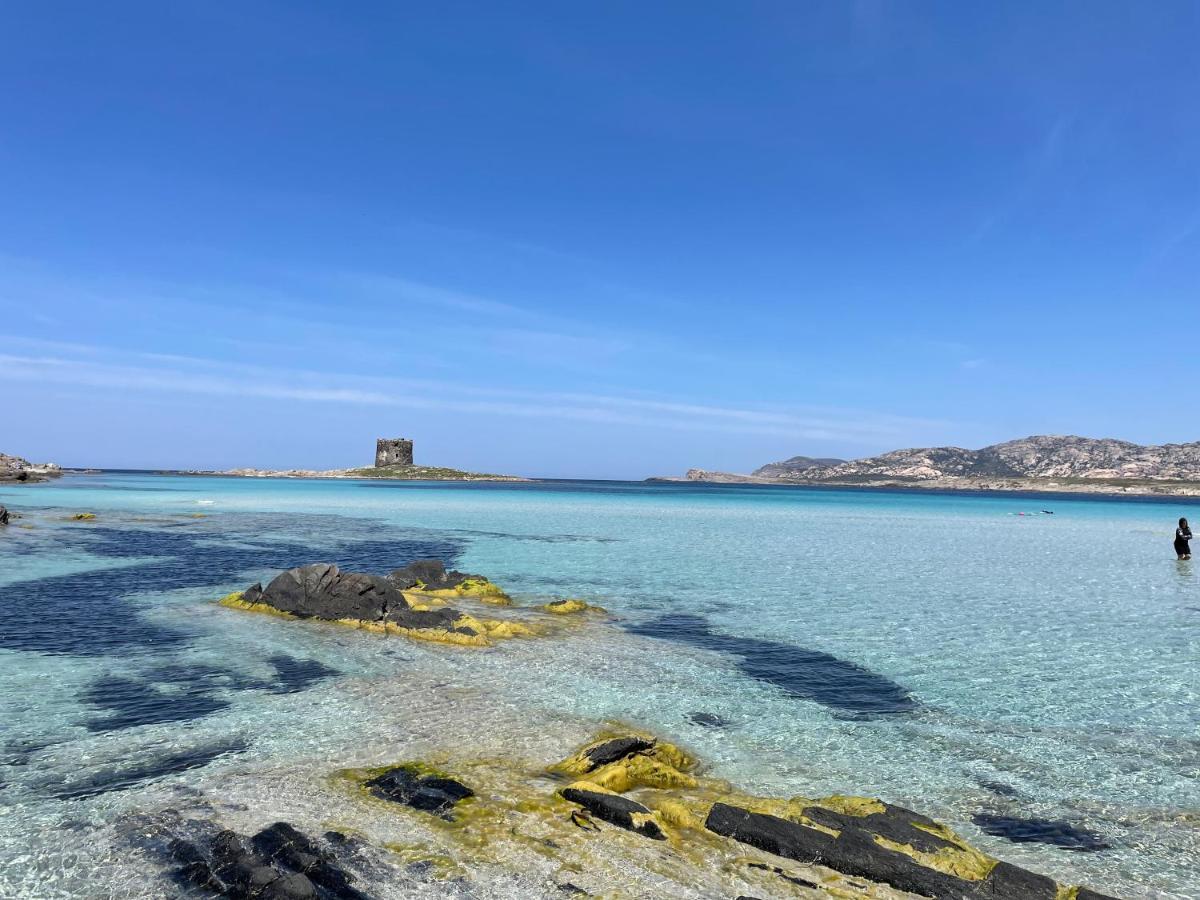 Vila I Pescatori Di Stelle-L12 Altair Stintino Exteriér fotografie